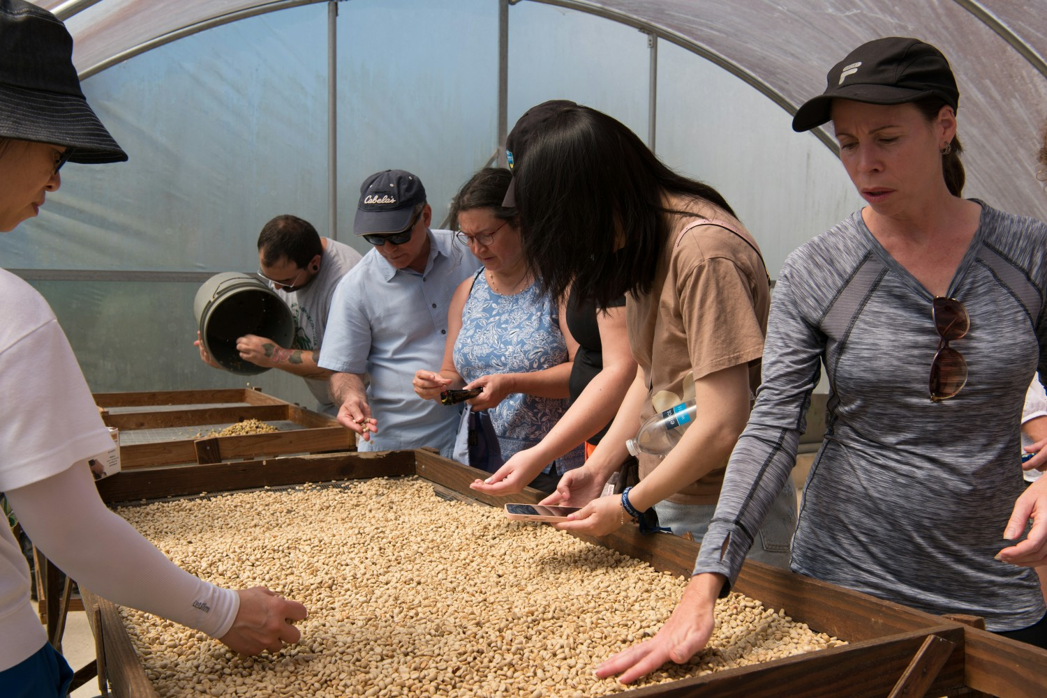 During our annual company trip, Finitians enjoy a tour of a working coffee farm in Puerto Rico.